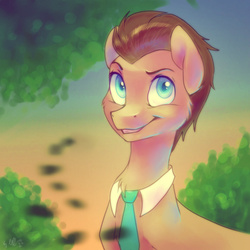 Size: 1485x1485 | Tagged: safe, artist:whitelily24, doctor whooves, time turner, earth pony, pony, g4, male, solo, stallion