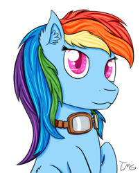 Size: 1280x1585 | Tagged: safe, artist:tlmoonguardian, rainbow dash, g4, female, goggles, solo