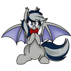 Size: 2500x2500 | Tagged: safe, artist:themodpony, oc, oc only, oc:daturea eventide, bat pony, pony, cute, cute little fangs, heart, high res, nibbling, solo, valentine's day