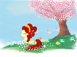Size: 1280x960 | Tagged: safe, artist:arcanelexicon, cherry jubilee, g4, cherry blossoms, female, solo, spring