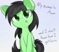 Size: 1125x1000 | Tagged: safe, artist:dshou, edit, oc, oc only, oc:filly anon, female, filly, solo, text