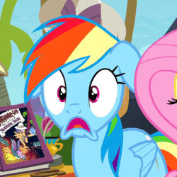 Size: 401x401 | Tagged: safe, screencap, fluttershy, rainbow dash, g4, trade ya!, animated, background pony, female, floppy ears