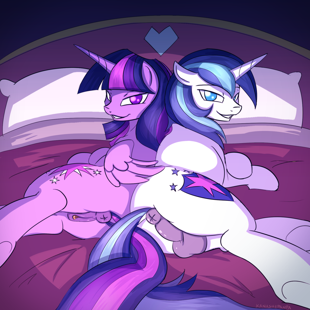Twilight sparkle x shining armor