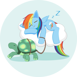 Size: 1200x1200 | Tagged: safe, artist:howxu, rainbow dash, tank, g4, :3, cute, dashabetes, female, leash, sleeping, solo