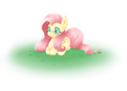 Size: 2100x1500 | Tagged: safe, artist:owodoomkitty, fluttershy, g4, female, grass, prone, solo