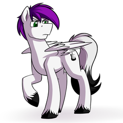 Size: 2000x2000 | Tagged: safe, artist:rubywave32, oc, oc only, pegasus, pony, high res, male, solo, stallion, unshorn fetlocks