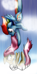 Size: 500x1000 | Tagged: safe, artist:ressurectednightmare, fluttershy, rainbow dash, g4