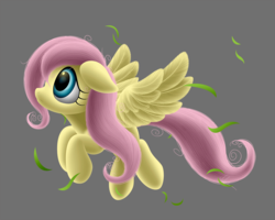 Size: 1250x1000 | Tagged: safe, artist:symbianl, fluttershy, g4, animated at source, female, floating, floppy ears, gray background, leaves, looking at something, looking up, messy mane, simple background, solo, spread wings