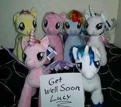 Size: 800x706 | Tagged: safe, artist:chipcircuit, pony, get well soon, get well soon lucy, irl, photo, plushie