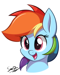 Size: 851x1071 | Tagged: safe, artist:sheandog, rainbow dash, g4, cute, dashabetes, female, happy, portrait, simple background, solo, transparent background