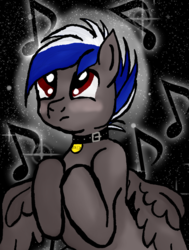 Size: 1992x2632 | Tagged: safe, artist:silversthreads, oc, oc only, oc:bassy, pegasus, pony, collar, male, pet tag, solo, stallion