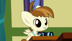 Size: 765x430 | Tagged: safe, screencap, featherweight, g4, ponyville confidential, camera, male, solo