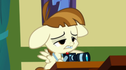 Size: 765x429 | Tagged: safe, screencap, featherweight, g4, ponyville confidential, camera, floppy ears, male, solo
