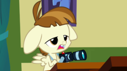 Size: 766x430 | Tagged: safe, screencap, featherweight, g4, ponyville confidential, camera, floppy ears, male, solo