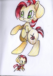 Size: 1426x2036 | Tagged: safe, artist:cutepencilcase, babs seed, g4, cutie mark, female, solo, traditional art