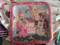 Size: 2592x1944 | Tagged: safe, applejack, fluttershy, pinkie pie, rainbow dash, rarity, spike, twilight sparkle, g4, error, merchandise, party, plate