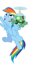 Size: 378x828 | Tagged: safe, rainbow dash, tank, pegasus, pony, tortoise, g4, adorable face, affection, cute, duo, duo male and female, excited, female, happy, kissing, licking, love, male, mare, not what it looks like, out of context, simple background, tankabetes, tongue out, transparent background, vector