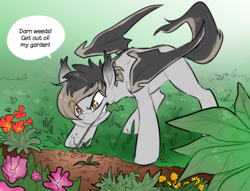 Size: 3099x2372 | Tagged: safe, artist:glacierclear, oc, oc only, oc:eventide blossom, bat pony, pony, colored wings, dorsal stripe, female, garden, gardening, high res, multicolored hair, multicolored wings, speech bubble, yellow eyes