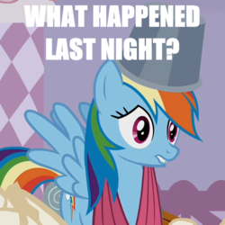 Size: 533x533 | Tagged: safe, edit, rainbow dash, g4, bucket, confused, female, hangover, image macro, lip bite, meme, question, solo, text edit