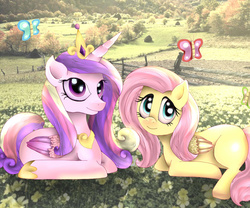 Size: 1200x1000 | Tagged: safe, artist:mariogamesandenemies, fluttershy, princess cadance, alicorn, butterfly, pegasus, pony, g4, beautiful, duo, field, flower, lying down