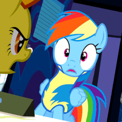 Size: 447x448 | Tagged: safe, screencap, fast clip, rainbow dash, spitfire, whiplash, pegasus, pony, g4, wonderbolts academy, animated, clothes, cropped, desk, eye shimmer, female, floppy ears, mare, reluctant, sigh, solo focus, spitfire's office, strict, upset