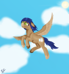 Size: 2600x2800 | Tagged: safe, artist:speed-chaser, oc, oc only, oc:mirai sora, pegasus, pony, birthday gift, high res, solo