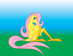 Size: 1100x850 | Tagged: safe, artist:thelonecrow, fluttershy, bird, phoenix, g4, birdified, female, flutterbird, solo, species swap