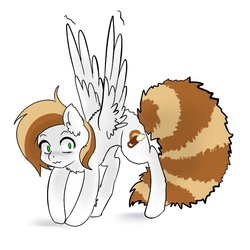 Size: 748x748 | Tagged: safe, artist:maccoffee, oc, oc only, oc:coffee cream, pegasus, pony, behaving like a cat, fluffy, solo, spread wings, wavy mouth, wing fluff