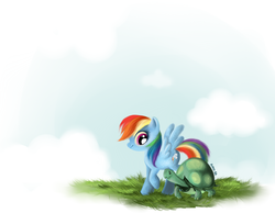 Size: 1024x793 | Tagged: safe, artist:aveku-chan-kataang, rainbow dash, tank, g4, cloud, walking