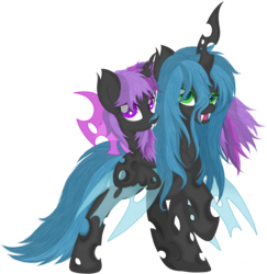 Size: 3869x3974 | Tagged: safe, artist:law44444, queen chrysalis, twilight sparkle, changeling, changeling queen, nymph, g4, changelingified, cute, cutealis, duo, duo female, female, fluffy, high res, looking at you, mare, purple changeling, queen twilight, simple background, species swap, transparent background, twiabetes