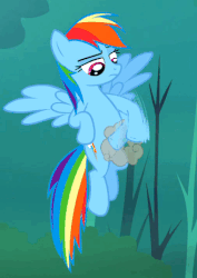 Size: 328x462 | Tagged: safe, screencap, rainbow dash, g4, sleepless in ponyville, animated, female, flying