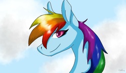 Size: 1024x600 | Tagged: safe, artist:cielthekitten, rainbow dash, g4, female, solo