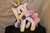 Size: 3888x2592 | Tagged: safe, artist:kym667103, princess cadance, g4, high res, irl, photo, plushie, solo