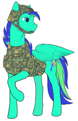 Size: 655x1024 | Tagged: safe, artist:arareroll, oc, oc only, oc:thunderstormbrony, army, solo