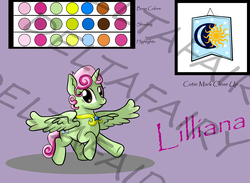 Size: 4500x3300 | Tagged: safe, artist:deltafairy, oc, oc only, oc:lilliana, alicorn, pony, alicorn oc, female, reference sheet, royal guard, solo, watermark