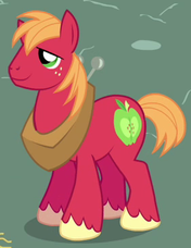 Size: 176x228 | Tagged: safe, screencap, big macintosh, earth pony, pony, g4, hearts and hooves day (episode), hearts and hooves day, male, solo, stallion
