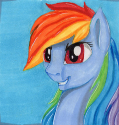 Size: 1024x1073 | Tagged: safe, artist:sparklyon3, rainbow dash, pegasus, pony, rcf community, g4, bust, female, grin, mare, portrait, smiling, solo, traditional art