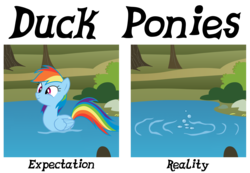 Size: 1300x900 | Tagged: safe, rainbow dash, duck pony, g4, asphyxiation, bubble, drowning, pond, reality ensues