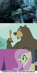 Size: 498x969 | Tagged: safe, fluttershy, harry, bear, g4, alejandro gonzález iñárritu, hilarious in hindsight, leonardo dicaprio, meme, oscar, oscars, the revenant