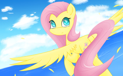Size: 1920x1200 | Tagged: safe, artist:laptop-pone, fluttershy, pegasus, pony, g4, cute, feather, female, flying, looking at you, looking back, ocean, sky, smiling, solo, spread wings