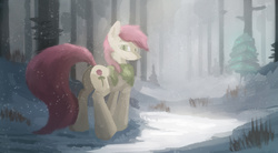 Size: 2700x1485 | Tagged: safe, artist:fuzzyfox11, roseluck, earth pony, pony, g4, clothes, female, mare, scarf, solo, winter