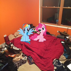 Size: 2448x2448 | Tagged: safe, pinkie pie, rainbow dash, g4, bedroom, engrish, female, high res, irl, lesbian, photo, ponies in real life, ship:pinkiedash, shipping, vector