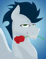 Size: 700x898 | Tagged: safe, artist:colourstrike, soarin', pegasus, pony, g4, bedroom eyes, flower, male, rose, solo, stallion