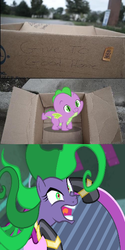 Size: 301x600 | Tagged: safe, mane-iac, spike, dragon, earth pony, pony, g4, dashie meme, evil people finding spike meme, exploitable meme, meme, this will end in tears and/or death