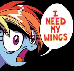 Size: 548x527 | Tagged: safe, idw, rainbow dash, friends forever #25, g4, my little pony: friends forever, spoiler:comic, female, image macro, meme, solo
