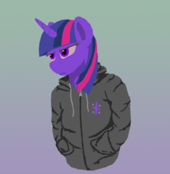 Size: 776x793 | Tagged: safe, artist:sv37, twilight sparkle, g4, clothes, female, hoodie, solo
