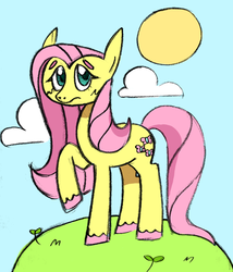 Size: 643x750 | Tagged: safe, artist:niconico-nii, fluttershy, g4, female, grass, looking at you, raised hoof, solo, standing, unshorn fetlocks, wingless