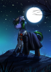Size: 1131x1600 | Tagged: safe, artist:margony, oc, oc only, cloak, clothes, moon, night, scenery, solo, stars