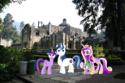 Size: 1485x990 | Tagged: safe, princess cadance, shining armor, spike, twilight sparkle, alicorn, pony, g4, church, concave belly, desierto de los leones national park, female, irl, male, mare, meme, mexico, mexico city, photo, ponies in real life, pose, ship:shiningcadance, shipping, sisters-in-law, slender, sparkle siblings, straight, thin, tree, twilight sparkle (alicorn), twily face, vector