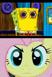 Size: 533x800 | Tagged: safe, screencap, fluttershy, g4, bloodshot eyes, male, out of character, spongebob squarepants, spongebob squarepants (character), stare